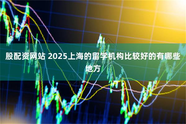 股配资网站 2025上海的留学机构比较好的有哪些地方